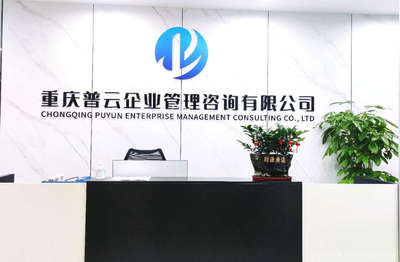 普云管理咨询 助力企业卓越运营，实现战略转型与价值增长