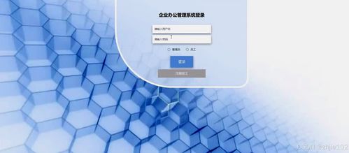 基于Django与Vue.js的企业办公管理系统设计与实现
